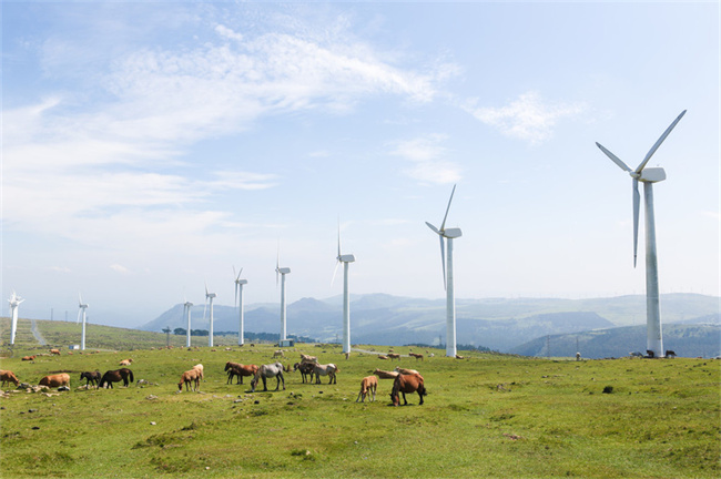 風電潤滑油檢測系統(tǒng)